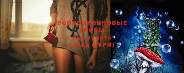 стафф Баксан
