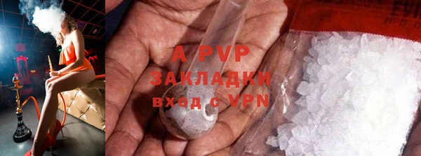стафф Баксан